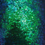 Iridescent All Over Sequins Fabric - Prismatic Fiber Arts