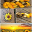 Sunflower Sunset - Prismatic Fiber Arts