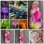 Wild & Wonderful - Prismatic Fiber Arts