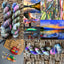Rainbow Trout - Prismatic Fiber Arts