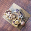 Woolen wild & free 4 skein kit - Prismatic Fiber Arts