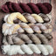 Woolen Wild & Free 5 skein kits - Prismatic Fiber Arts