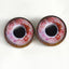 Red Box Turtle Sew-On Button Glass Eyes - Prismatic Fiber Arts