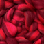 Luminoso Variety Pack | 11 Gorgeous Merino Colorways - Prismatic Fiber Arts