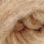 Autumn Harvest Carded Corriedale Wool Sliver Variety Pack - Prismatic Fiber Arts