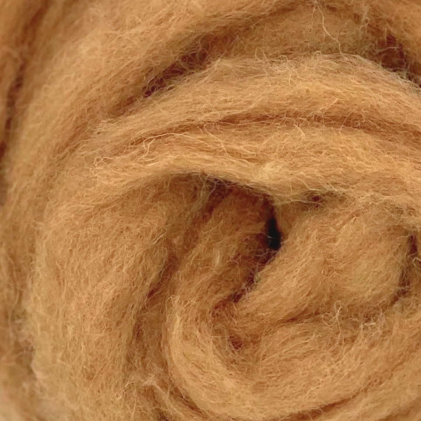 Autumn Harvest Carded Corriedale Wool Sliver Variety Pack - Prismatic Fiber Arts
