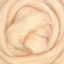 Animal Classics Carded Corriedale Wool Sliver Variety Pack - Prismatic Fiber Arts
