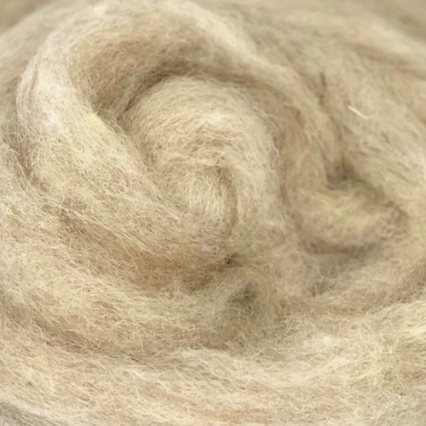 Woodland Neutrals Carded Corriedale Wool Sliver Variety Pack - Prismatic Fiber Arts