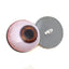 Side Glance Brown Human Sew-On Button Glass Eyes - Prismatic Fiber Arts