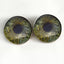 Sage Green Viking Raven Sew-On Buttons Glass Eyes - Prismatic Fiber Arts