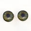 Sage Green Viking Raven Sew-On Buttons Glass Eyes - Prismatic Fiber Arts