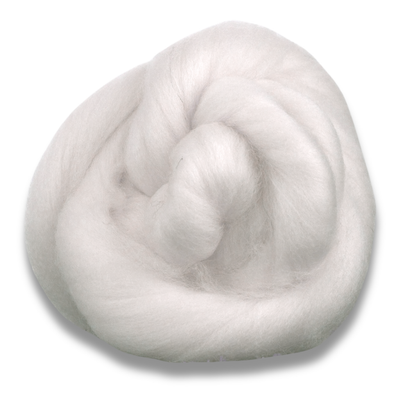 Polwarth Wool Top - Prismatic Fiber Arts