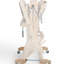 Schacht Wolf Strollers PREORDER - Prismatic Fiber Arts